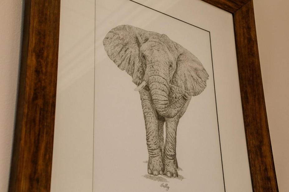 Knysna Elephant Park Lodge Plettenberg Bay Εξωτερικό φωτογραφία
