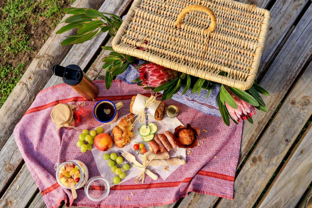 Knysna Elephant Park Lodge Plettenberg Bay Εξωτερικό φωτογραφία